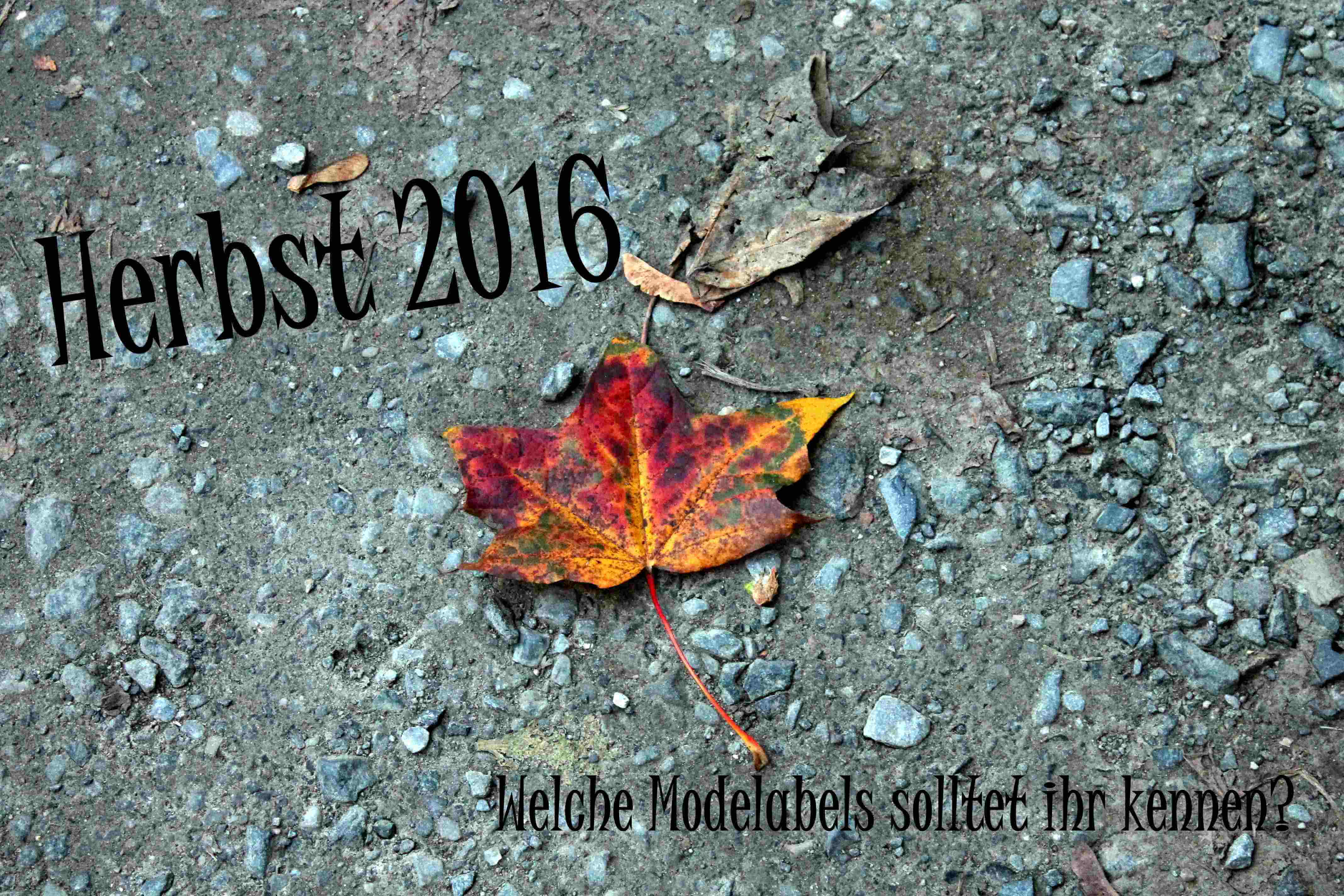 Herbsttrends Mode Labels 2016 Die Musst Ihr Kennen