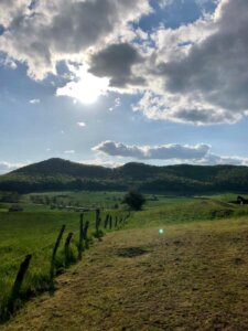 Feld in der Solling Vogler Region