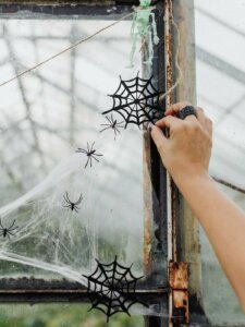 Hand dekoriert Fenster mit Spinnennetzen