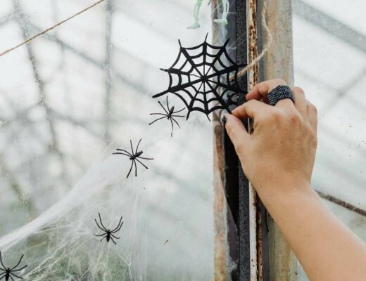 Hand dekoriert Fenster mit Spinnennetzen