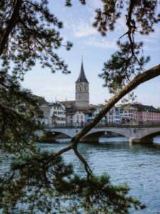 Blick auf den Zürichsee