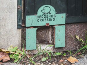 In einen Zaun in ein türkises Igeltor integriert, das es ermöglicht, dass der Igel durch den Zaun gehen kann