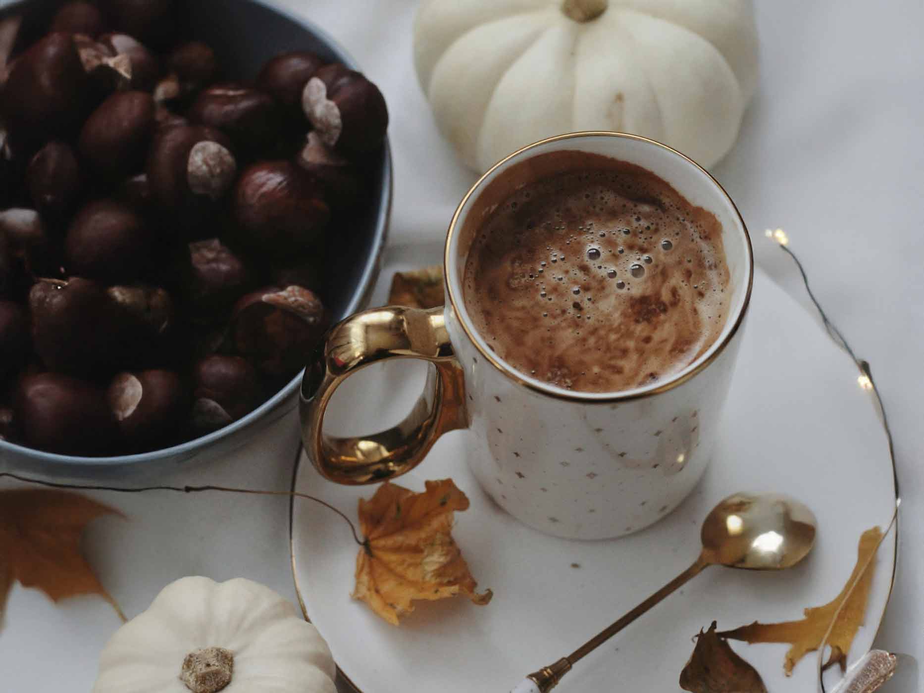 Herbst Getränke Rezepte Eine Tasse Kakao steht auf einem Teller. Drumherum ist Herbstdekoration.